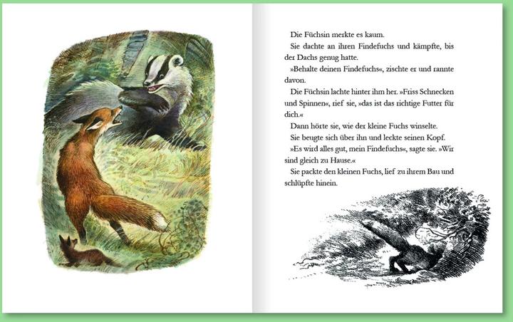 Produktbild Der Findefuchs (Deutsch, Irina Korschunow, 2021)