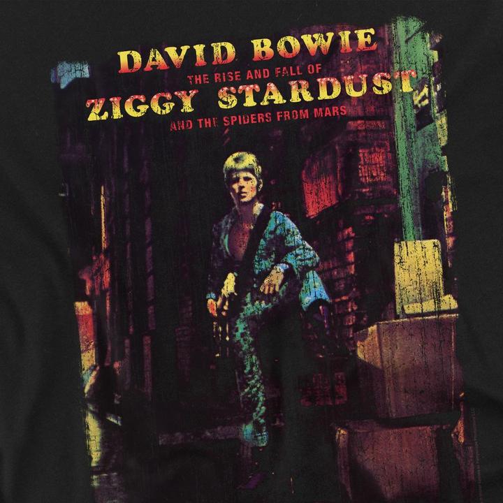 Image du produit David Bowie - T-shirt ZIGGY STARDUST ALBUM - Homme (XL)