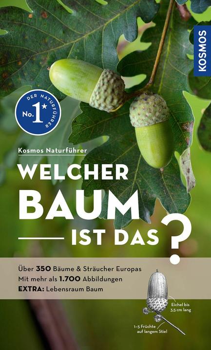 Produktbild Kosmos Welcher Baum ist das? (Deutsch, Margot Spohn, Roland Spohn, 2024)