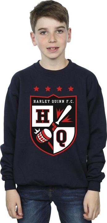 Actual product image Justice League Boys Harley Quinn FC Pocket Sweatshirt (152, 158)