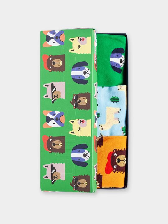 Produktbild DillySocks Pet Family (3er Box) (3er Pack, 36 - 40)