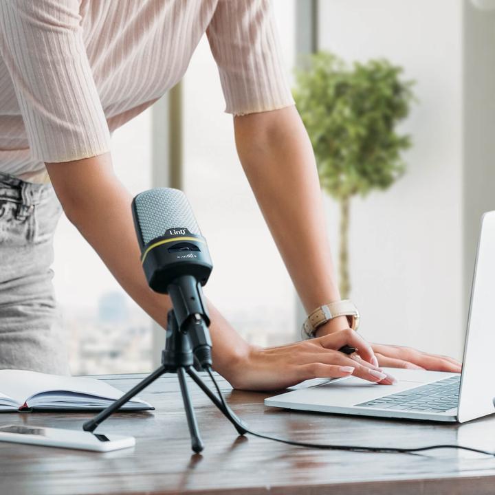 Actual product image LinQ PC Microphone Desktop Mount