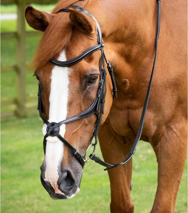 Immagine prodotto Premier Equine Glorioso