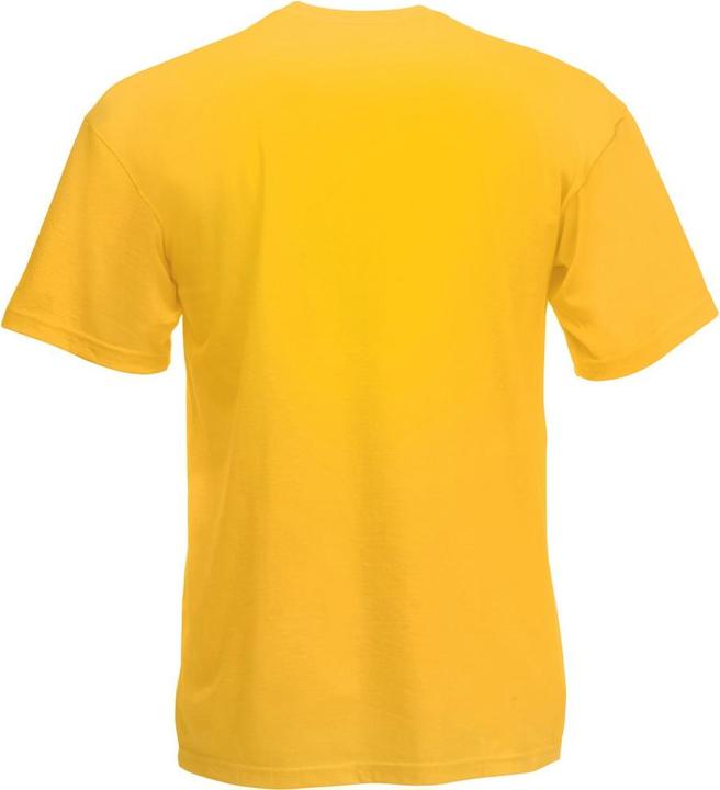Actual product image Fruit of the Loom - T-shirt manches courtes - Homme (3XL)