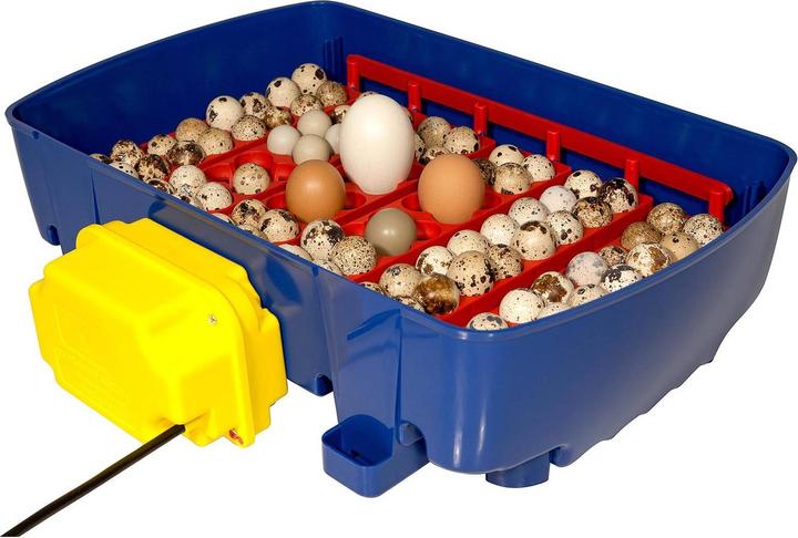 Image du produit Borotto Incubateur automatique Real 2