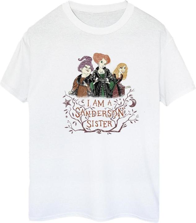 Actual product image Disney Womens/Ladies Hocus Pocus Sanderson Sister Cotton Boyfriend T-Shirt (3XL)