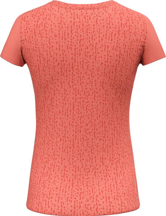Produktbild Salewa Pure Salamander Merino T-Shirt Damen (42)