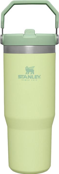Stanley 1913 The Ice Flow (0.89 l)