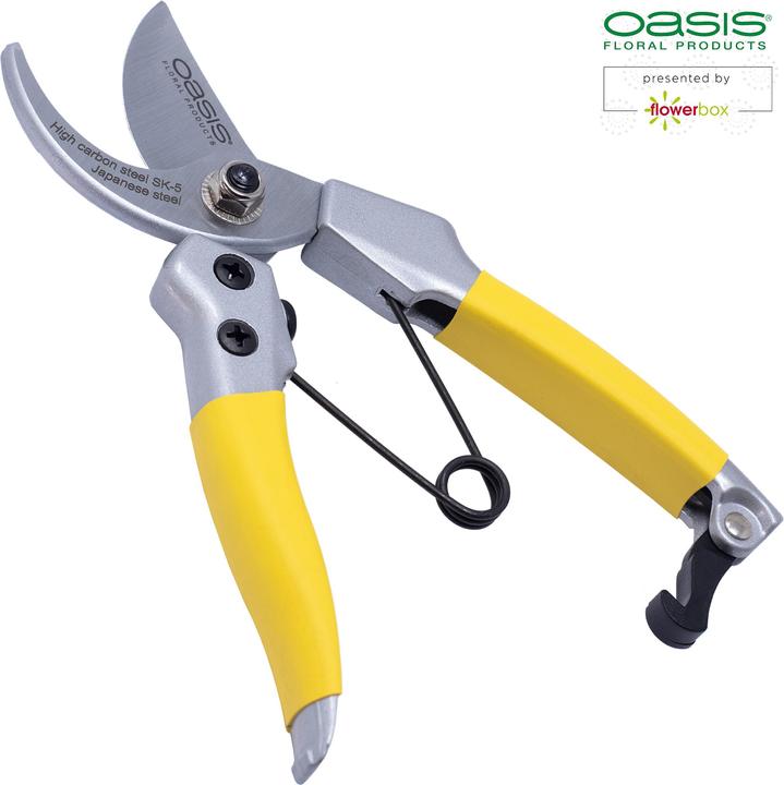 Immagine prodotto Oasis Forbici da fiorista