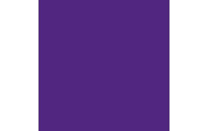 Actual product image Amsterdam Acrylic Paint Standard Series (Permanent blue-violet, 120 ml)
