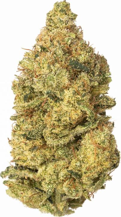 Image du produit Hi Lab Mini buds | Super Lemon Haze (25 g, Intérieur)