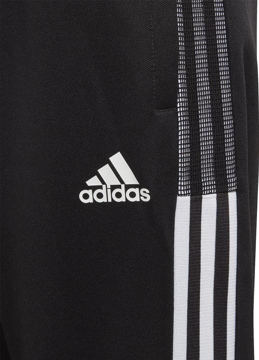 Actual product image adidas Tiro 21 Training Pants Kids (164)