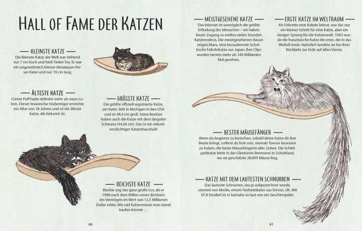 Produktbild Hinter jeder grossartigen Frau steht eine besondere Katze (Deutsch, Lulu Mayo, 2024)