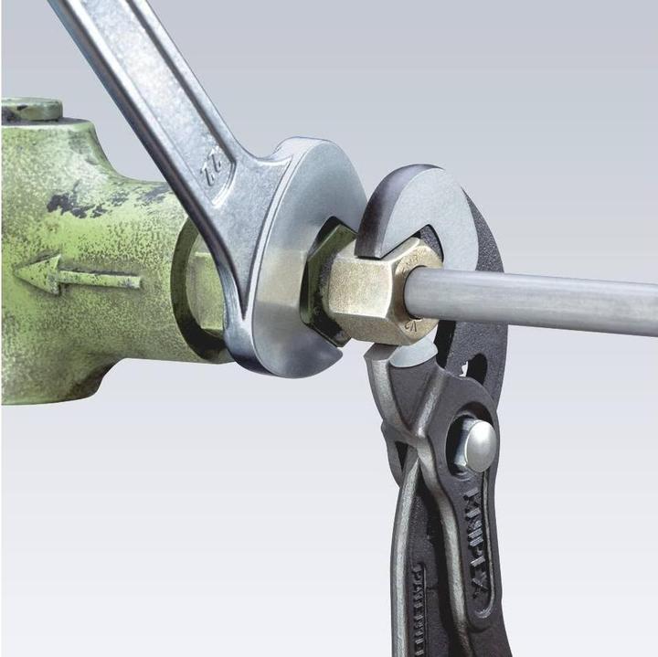 Actual product image Knipex Schraubzange (250 mm)