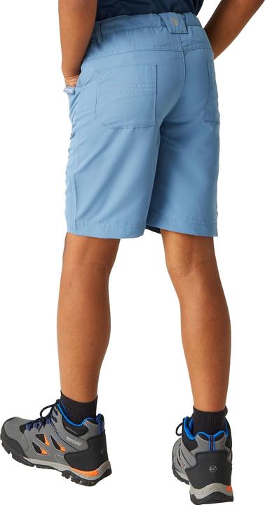 Image du produit Regatta - Short SORCER - Unisexe (116)