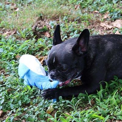 Image du produit Croci Spa Dancing Fish poisson en mouvement pour chiens 27x7cm
