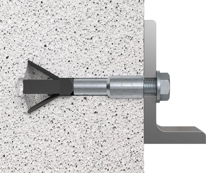 Actual product image Fischer Aerated concrete anchor FPX-I M10 K (2) (2 pcs.)