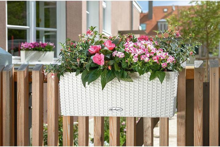 Produktbild Lechuza Blumentopf Balconera Cottage 50 (19 cm)