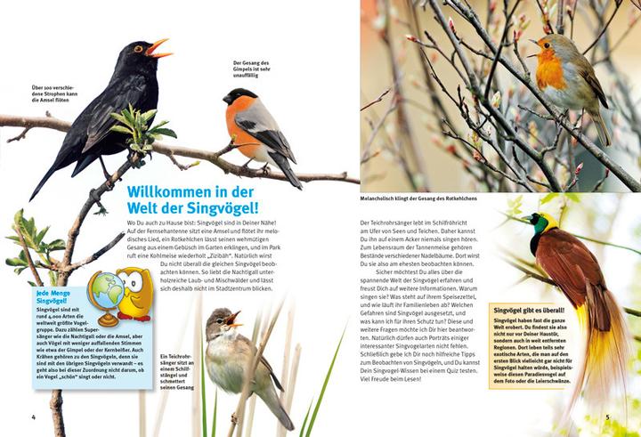 Actual product image Entdecke die Singvögel (German, Thomas Schmidt, 2015)