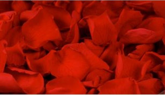 Actual product image CreaDiva Rose petals real, red 1 litre
