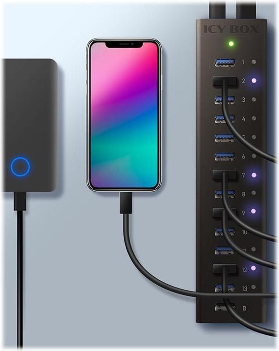 Immagine prodotto Icy Box Ib-Ac6113 (USB-B, 13 Porti)
