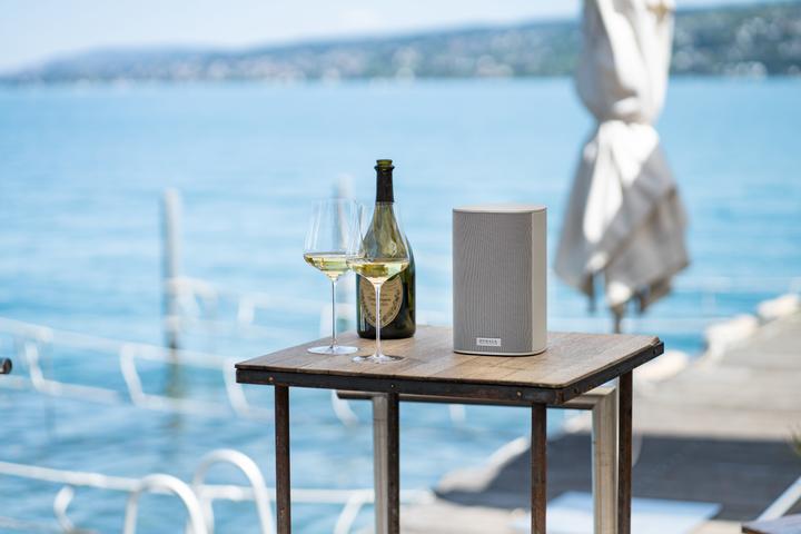 Produktbild Piega Ace 30 Wireless TX