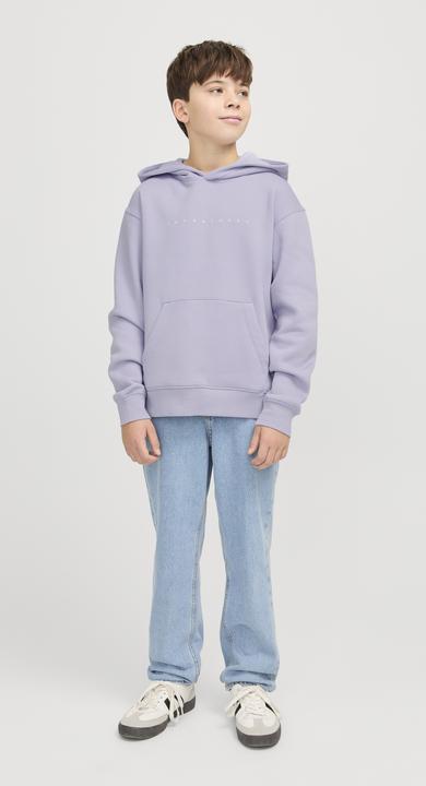 Produktbild Jack & Jones Jjestar Jj Sweat Hood Noos Jnr (140)