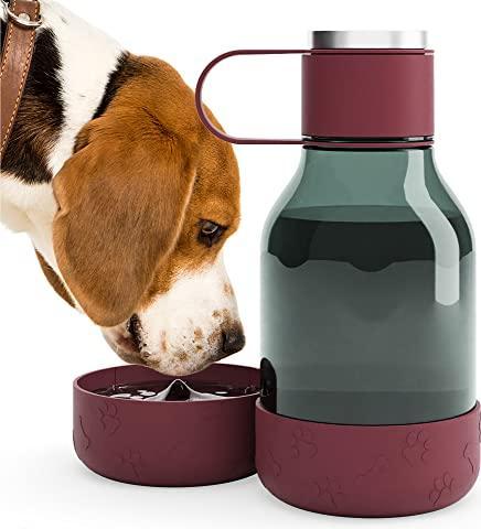Actual product image Asobu Tritan Bowl Bottle - Burgundy - (84259103968) (1.50 l)