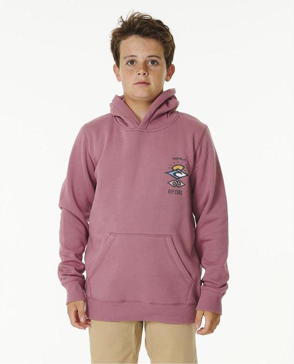 Actual product image Rip Curl Sweatshirt für Jungen Search Icon Hood - Boy (10)