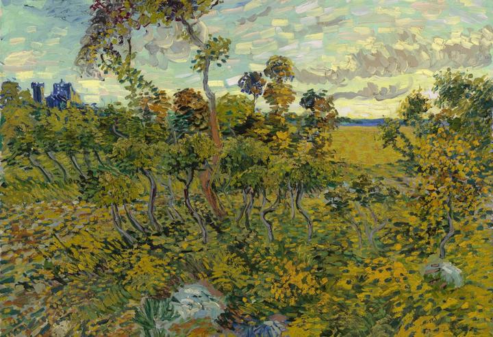Produktbild Grafika Kids XXL Pieces - Van Gogh: Sunset at Montmajour, 1888 (12 Teile)