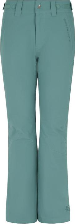 Protest Snowpants PRTCARMACKOS snowpants (34)