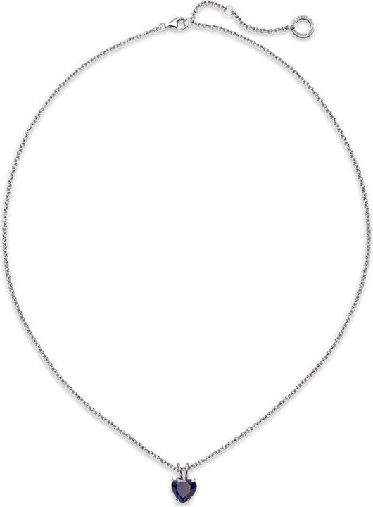 Actual product image Paul Hewitt PH-JE-0147 (Steel, 45 - 50 cm)
