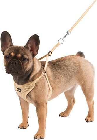 Immagine prodotto Kerbl Imbracatura per cuccioli (Cane, Generale)