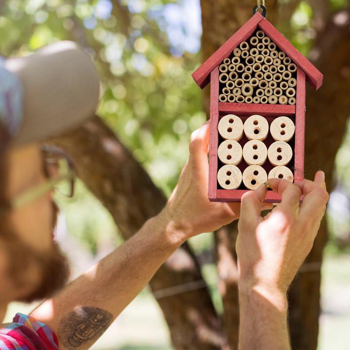 Immagine prodotto Relaxdays Casetta per Api da Assemblare, DIY (Merletti, Api, Coccinelle)
