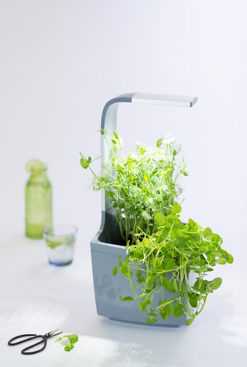 Actual product image Tregren Herb pot T3 (19.50 cm)