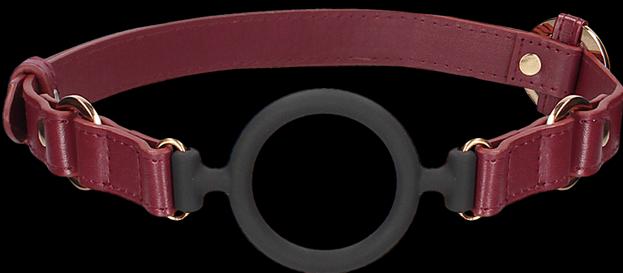 Actual product image Ouch! Ouch Halo - Silicone Ring Gag