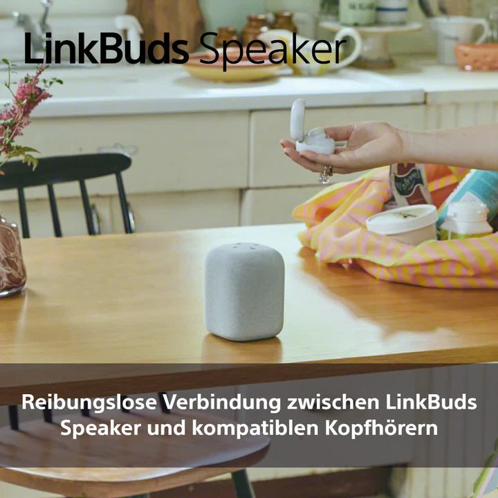 Produktbild Sony SRS-LS1 (25 h, Akkubetrieb)