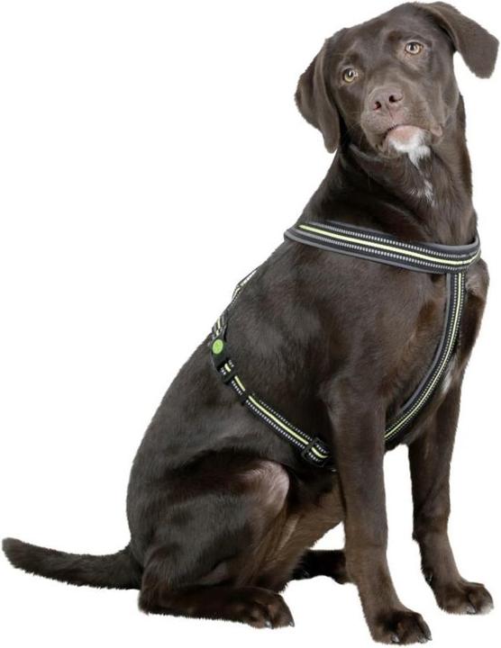 Actual product image Kerbl Harness (Dog)