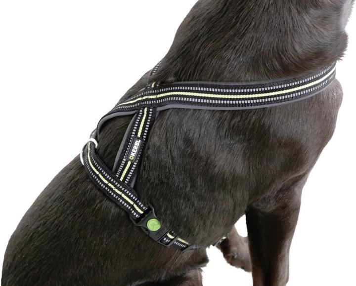 Actual product image Kerbl Harness (Dog)