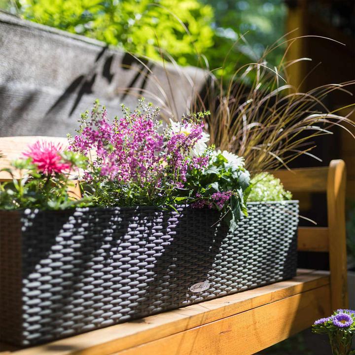 Image du produit Lechuza Chalet Balconera (19 cm)