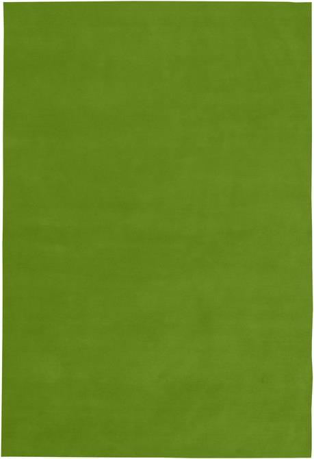 Actual product image pfister Lina (170 x 240 cm)