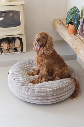 Productafbeelding Designed by Lotte Reza ligkussen (Hond)