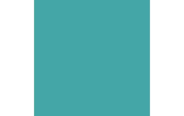 Produktbild Amsterdam Acrylfarbe Standard Series 661 (Türkisgrün, 120 ml)