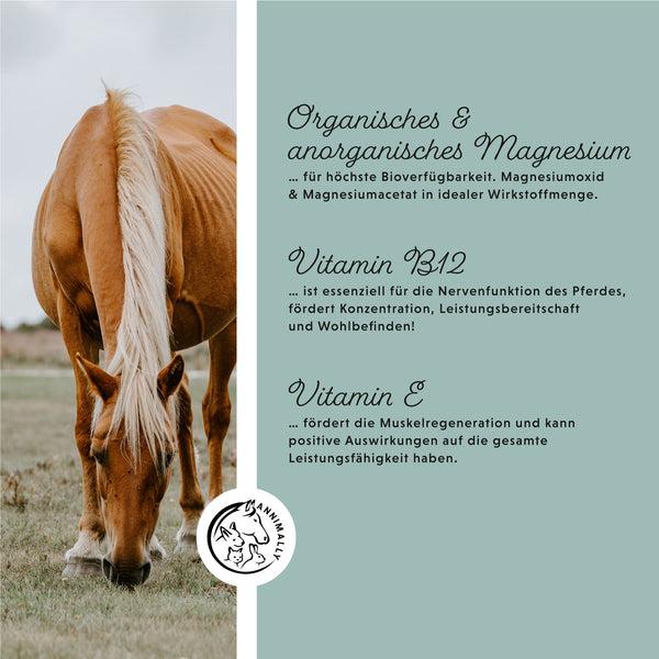 Immagine prodotto Annimally Magnesium Pellets (1000 g)