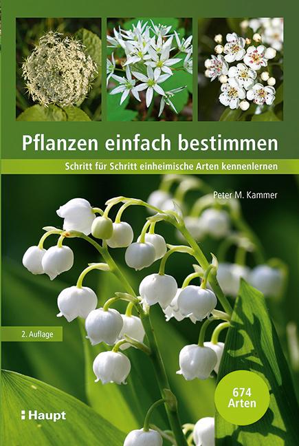 Immagine prodotto Pflanzen einfach bestimmen (Tedesco, Peter M. Kammer, 2021)