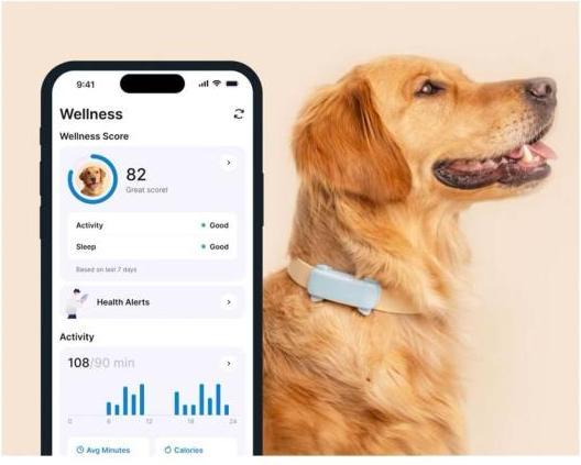 Produktbild Tractive GPS Tracker Dog 6 (Hund)