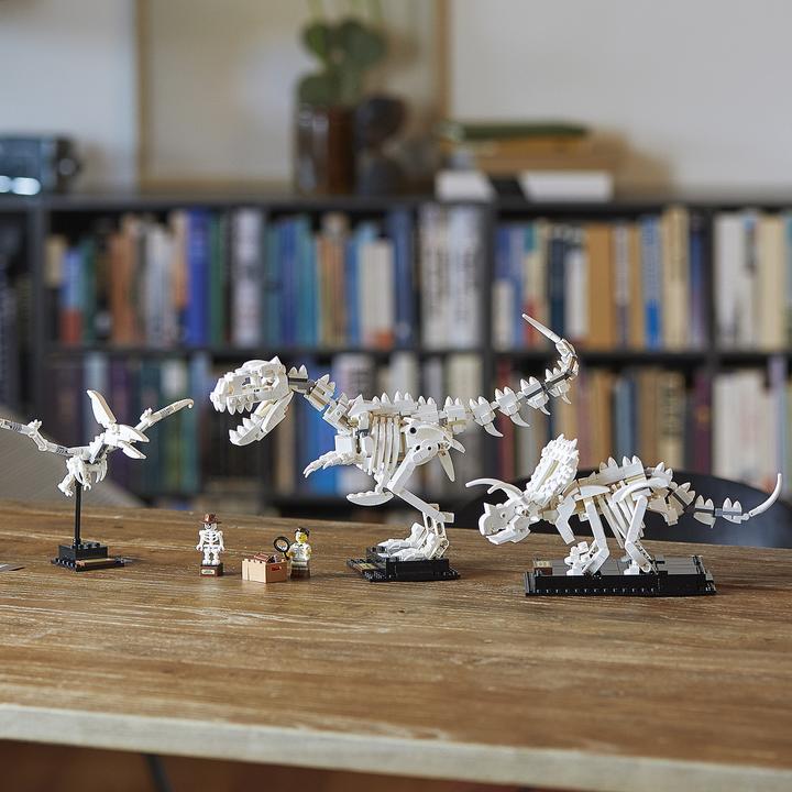 Immagine prodotto LEGO Fossili di dinosauro (21320, LEGO Ideas)