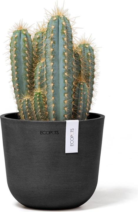 Actual product image Ecopots Oslo Mini (16 cm)