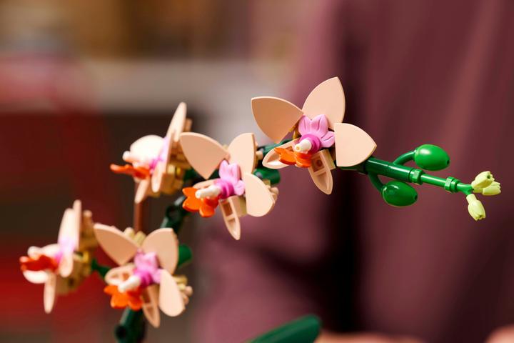 Image du produit LEGO Mini-Orchidee (10343, LEGO Botanical)