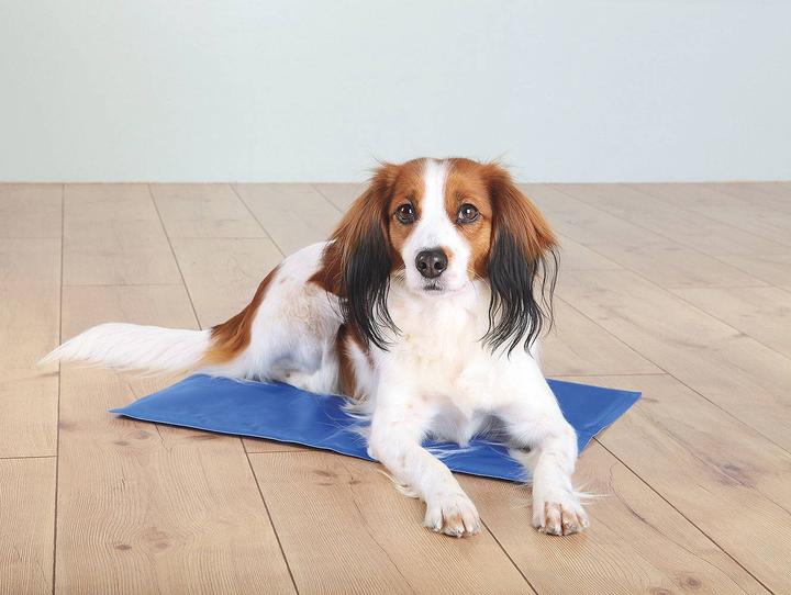 Actual product image Trixie Cooling mat (Dog, Cat)